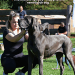 Rekreačný areál Slnečné jazerá je ideálnym miestom pre vaše outdoorové akcie!